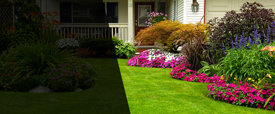 Dawsonville Landscapers