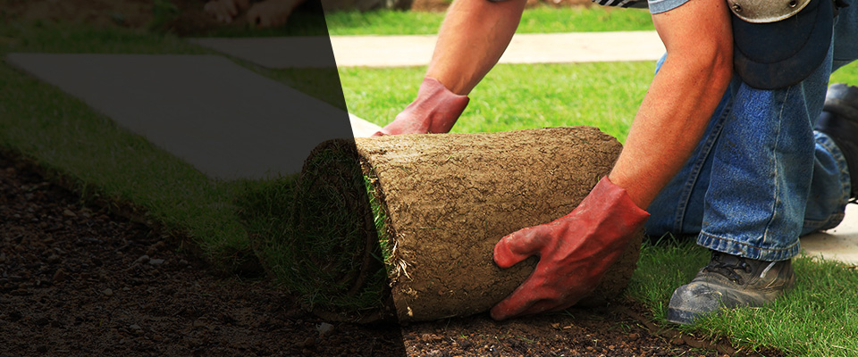 Dawsonville Landscapers